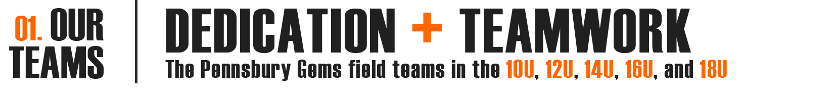 Pennsbury Gems – Competitive Fastpitch Softball
